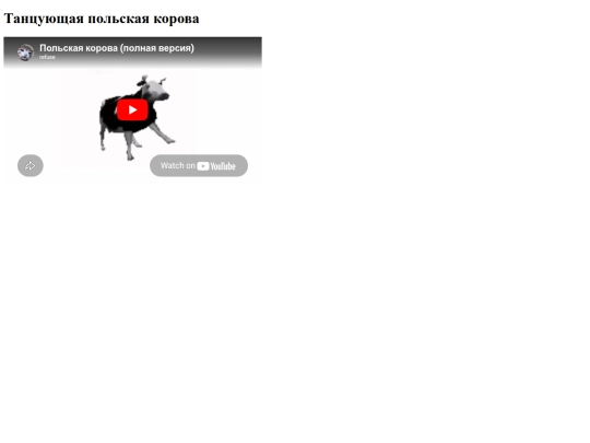 ann screenshot