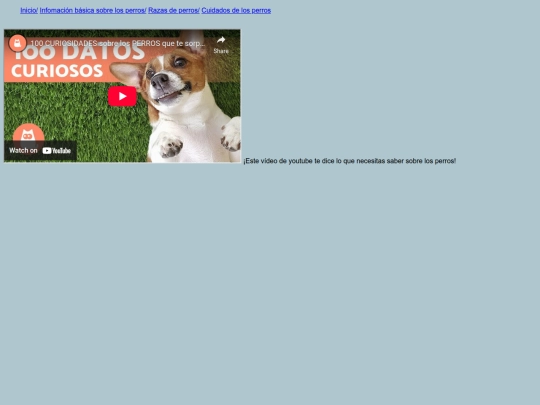 informacionsobreperros screenshot