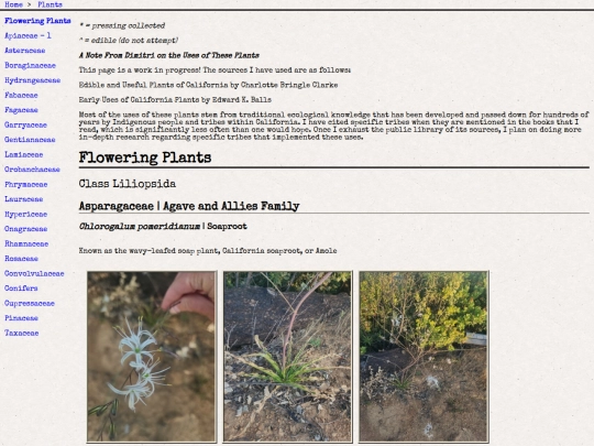plants screenshot