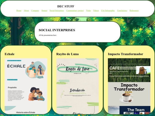 Social_interprises screenshot