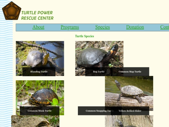 Project_1/Species screenshot