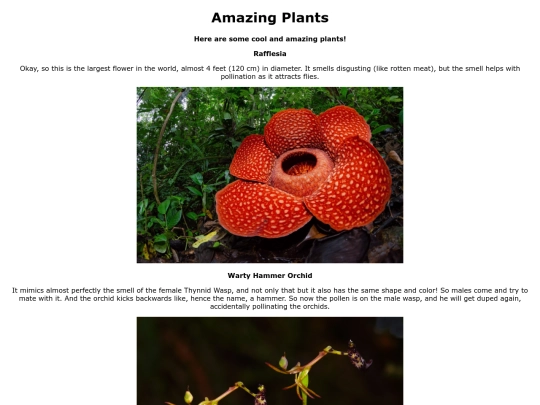 AmazingPlants screenshot