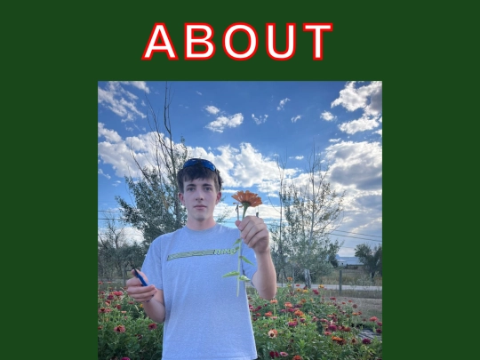 about screenshot