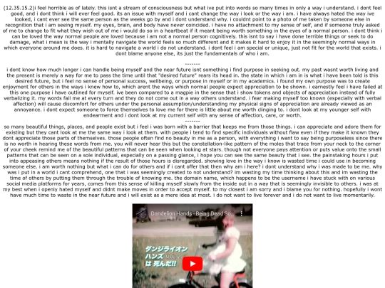 iwontbecomeaghost screenshot