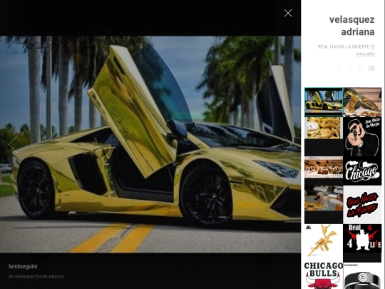 galeria screenshot