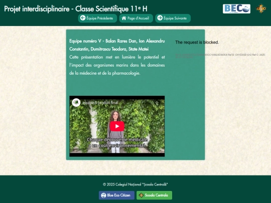 team5 screenshot