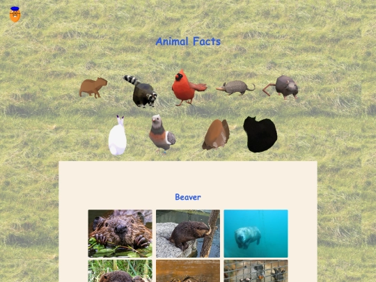pages/animalfacts screenshot