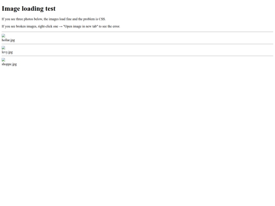 test screenshot