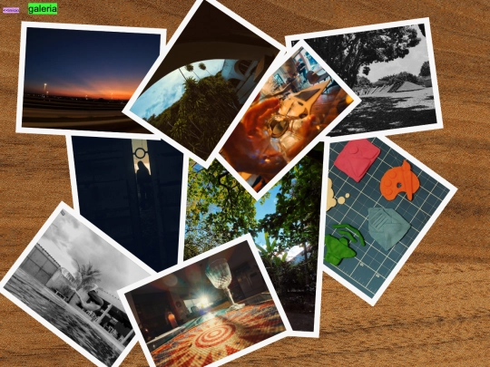 galeria screenshot