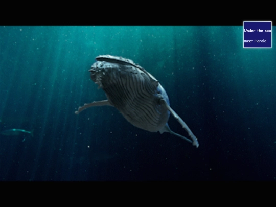 ocean screenshot