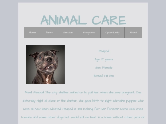 Midterm_website/pages/page4 screenshot
