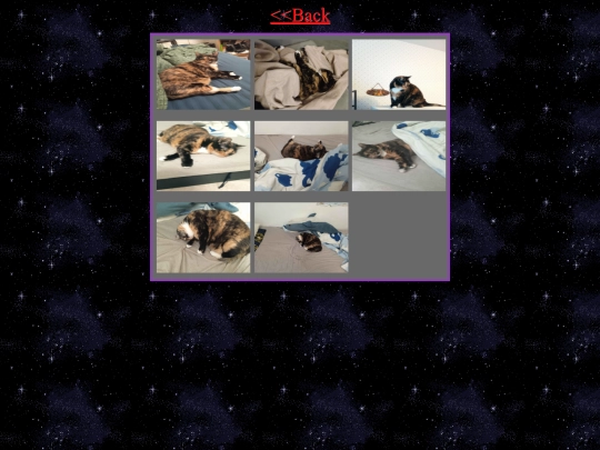 limppu screenshot