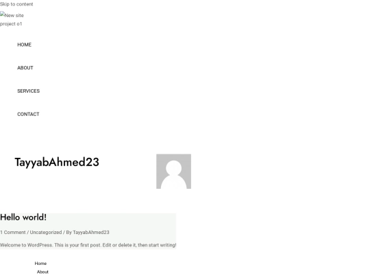 author/tayyabahmed23 screenshot