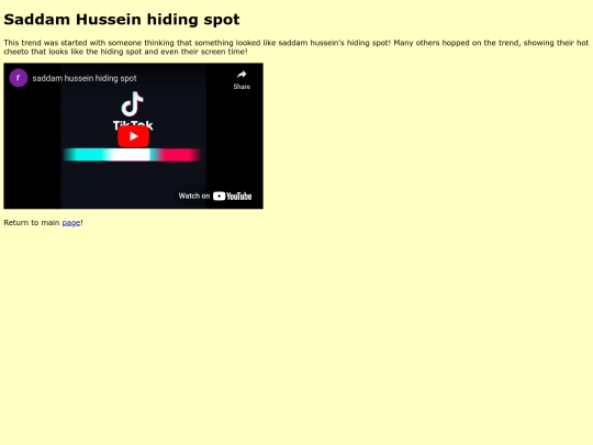 saddam screenshot