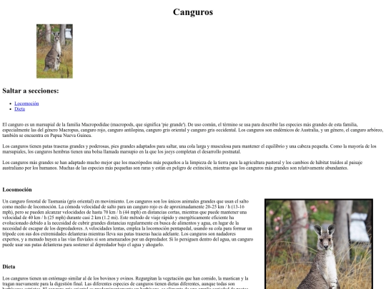 EJERCICIOS/Kanguros screenshot