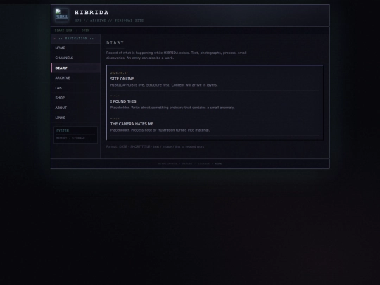 diary screenshot