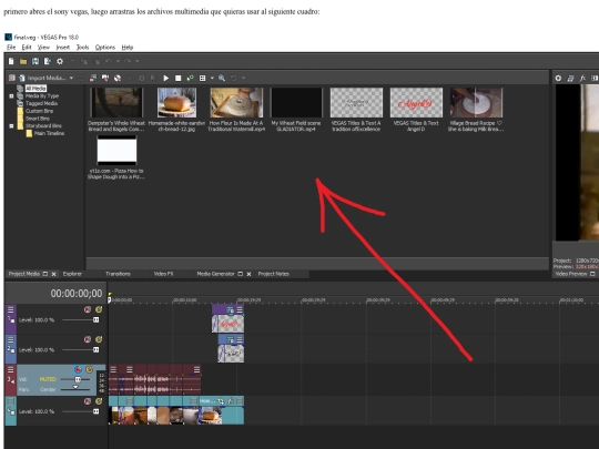 vegastutorial screenshot