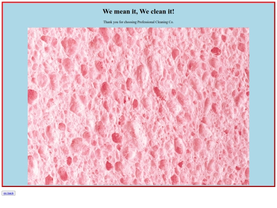 samples/cleaningbiz screenshot