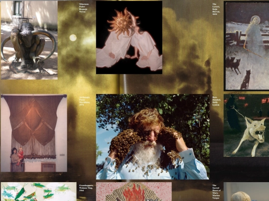 gallery screenshot