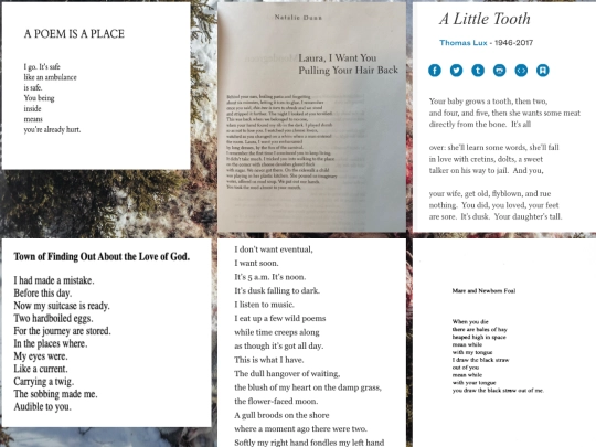 poetry screenshot