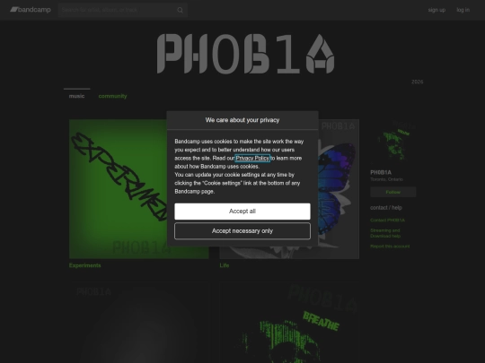 bandcamp screenshot