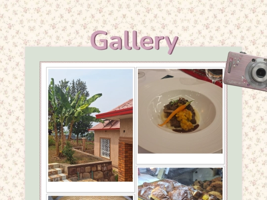 Gallery screenshot