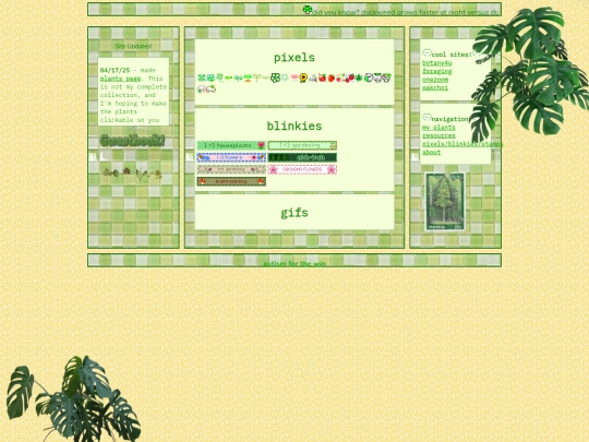 web screenshot