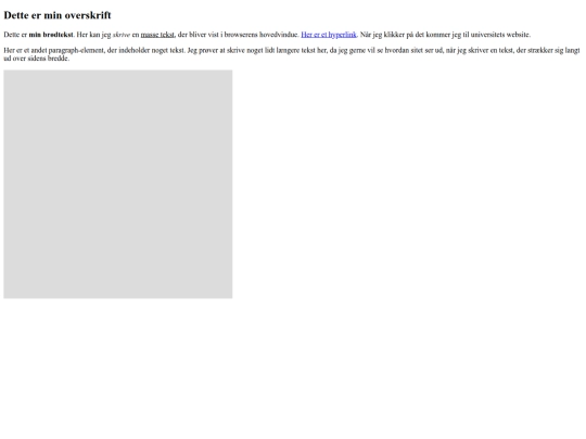 testSite screenshot