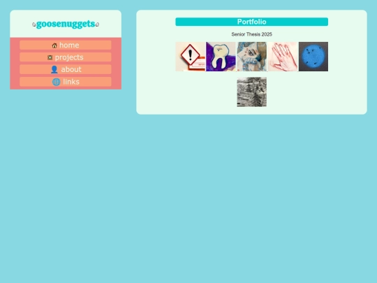 newPortfolio screenshot