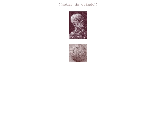 notas screenshot