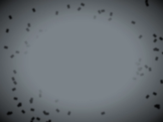 testfly screenshot