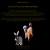 The web site of vhsangel avatar