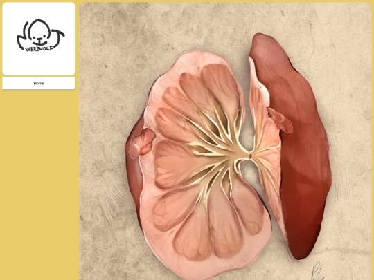 medical-painting-desktop screenshot