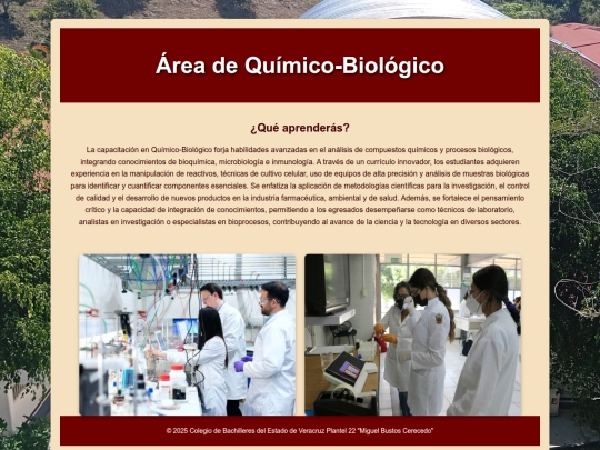 quimico screenshot