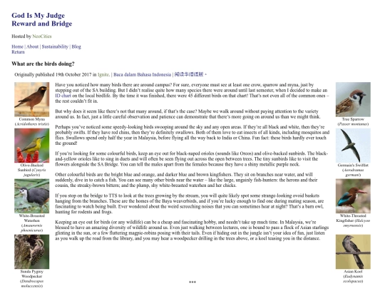 index/whatarethebirdsdoing screenshot