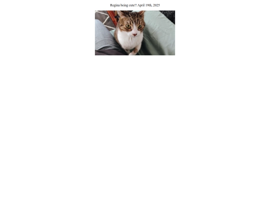 irlblog screenshot