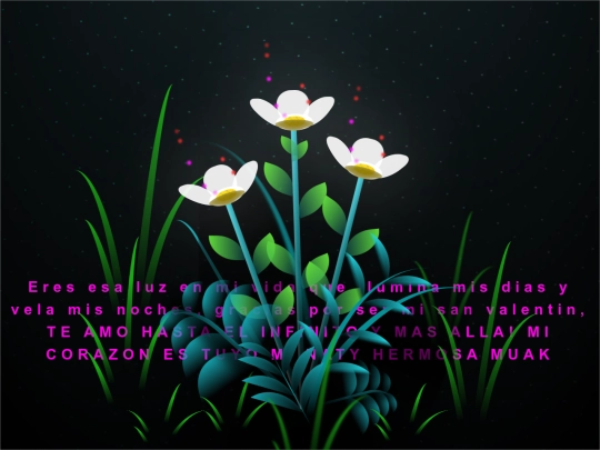 flower screenshot