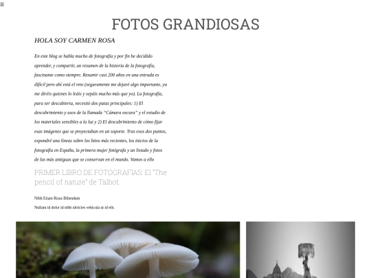 pagina2 screenshot