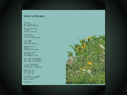 pages/warmth/letter screenshot