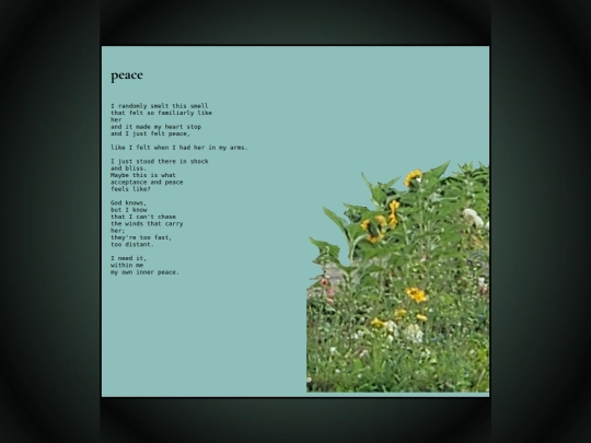 pages/warmth/peace screenshot