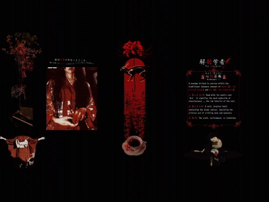 anatomist screenshot