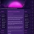The web site of moonstruckegg avatar