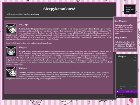 blog screenshot