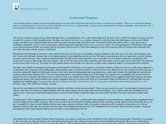 AcceleratedProgram screenshot