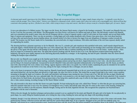 TheForgetfulRigger screenshot