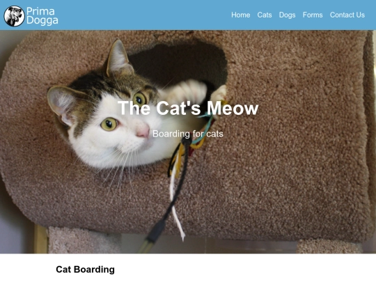 EXT/PRIMA_DOGGA/pages/cats screenshot
