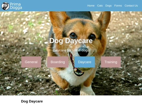 EXT/PRIMA_DOGGA/pages/dogs/daycare screenshot