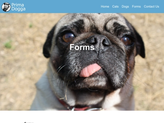 EXT/PRIMA_DOGGA/pages/forms screenshot