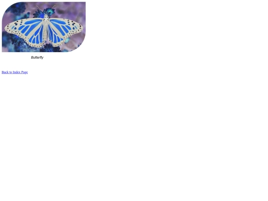imageryproject/imagery-butterfly screenshot