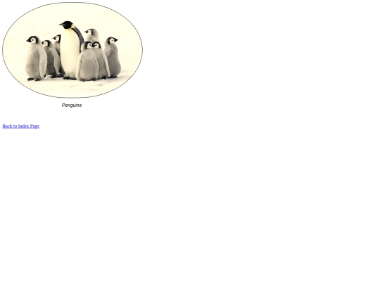 imageryproject/imagery-penguins screenshot